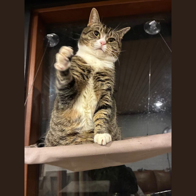 Photo of Izzy