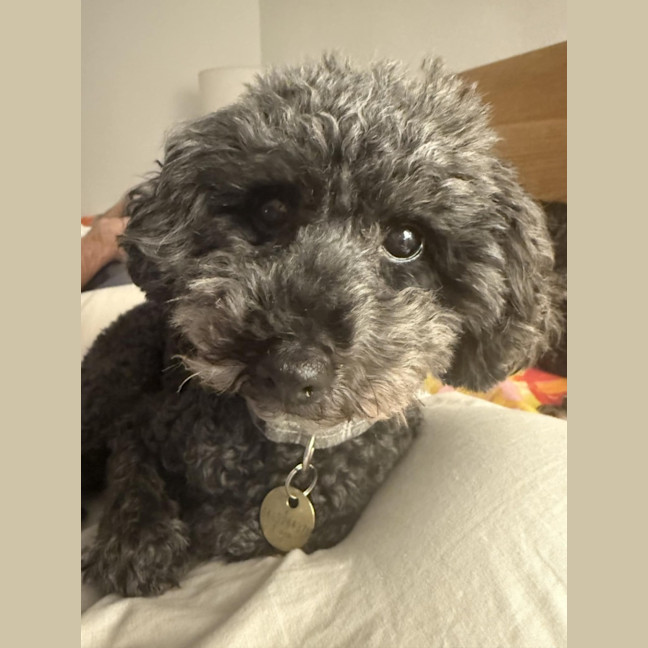 Photo of Missy