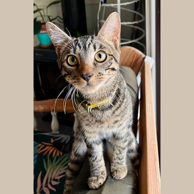 Photo of Frank