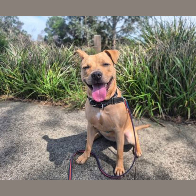 Photo of Calypso