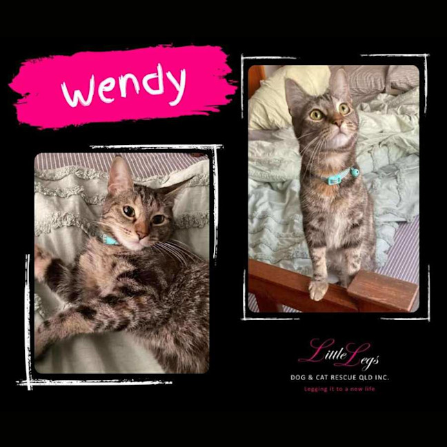 Photo of Wendy