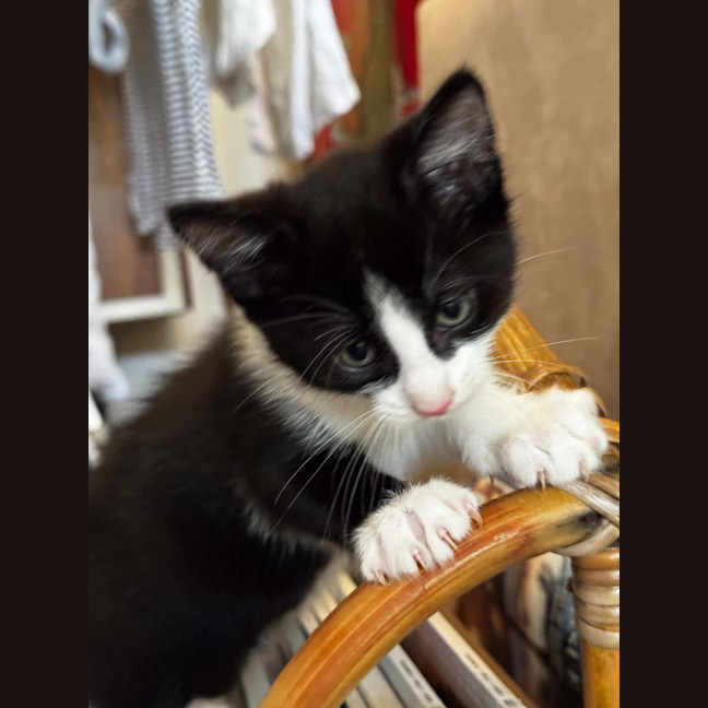 Photo of Steve
