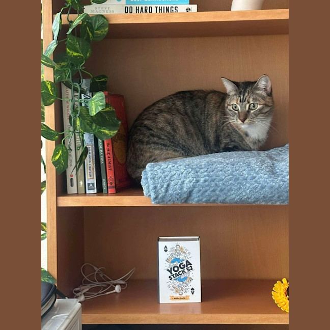Photo of Tilly