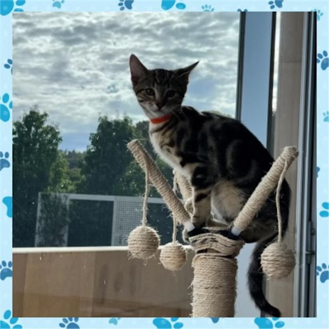 Photo of Jack