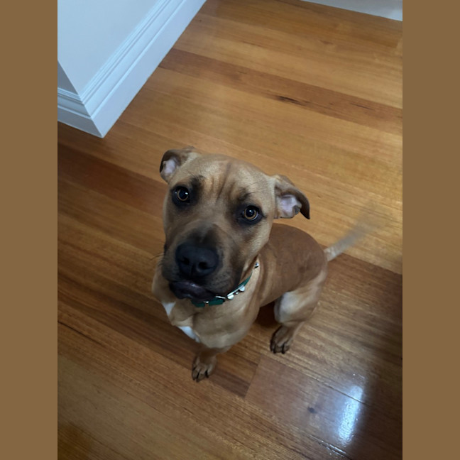 Photo of Rico 
