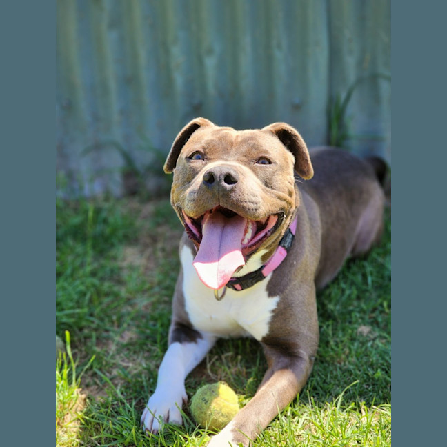 Photo of 🍧 Sassy 6524 🍧