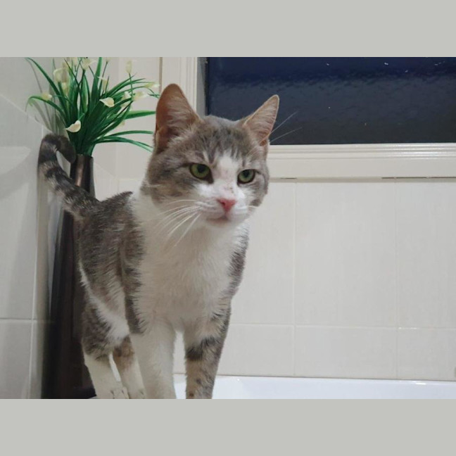 Photo of Chester Kumara