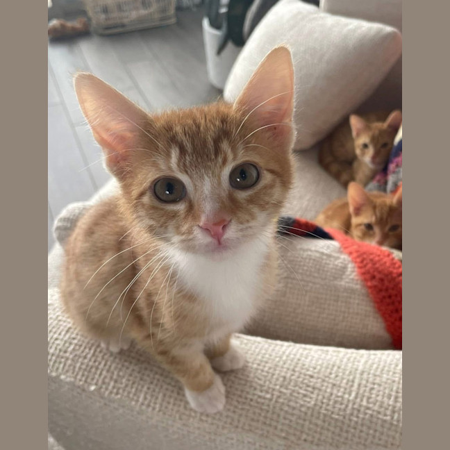 Photo of Gertie