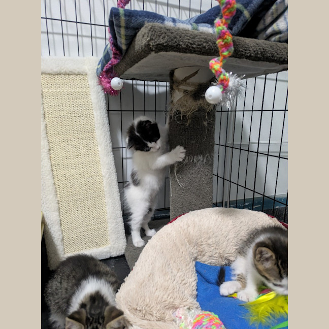 Photo of Zippy Snail