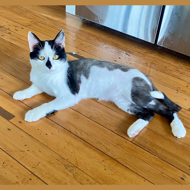 Photo of Mooey