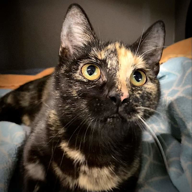 Photo of Princess