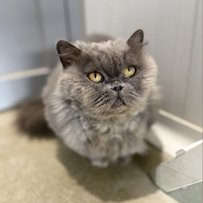 Photo of Mimi