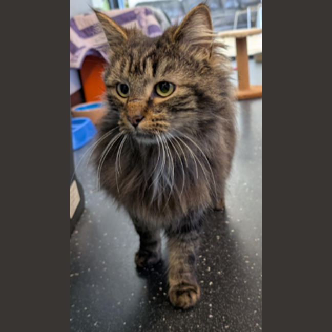 Photo of Cliff Richard