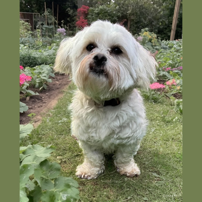 Photo of Thelma