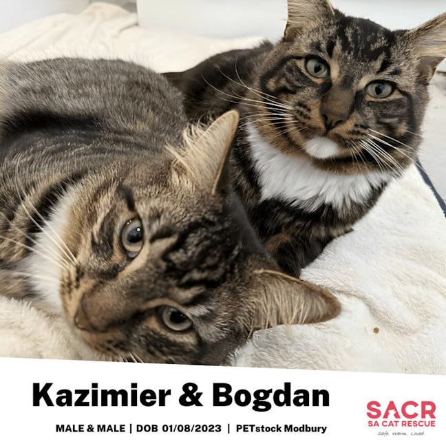 Photo of Kazimier & Bogdan