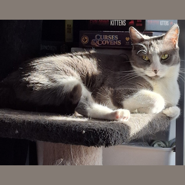Photo of Athos