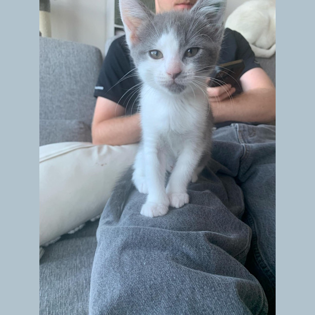 Photo of Bonnie