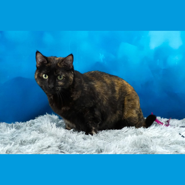 Photo of Elodie