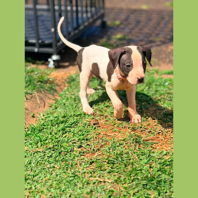 Photo of Willa