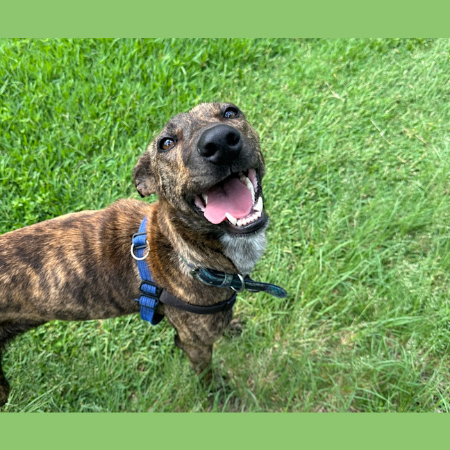 Photo of Yindi