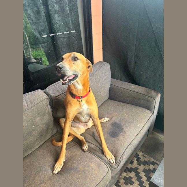 Photo of Delilah