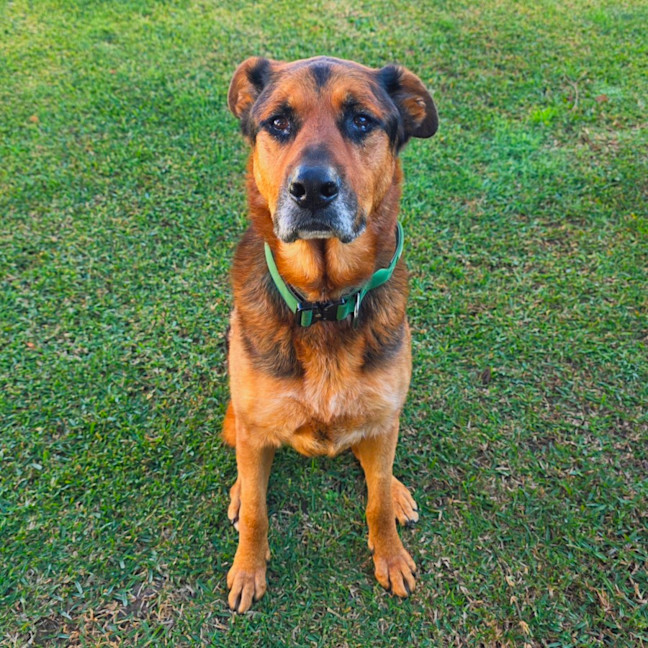 Photo of Bobby