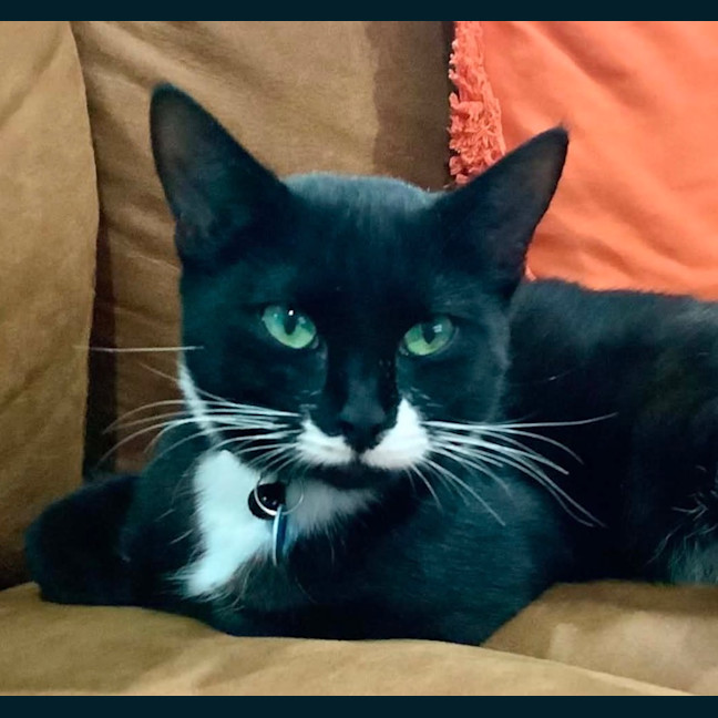 Photo of Buster