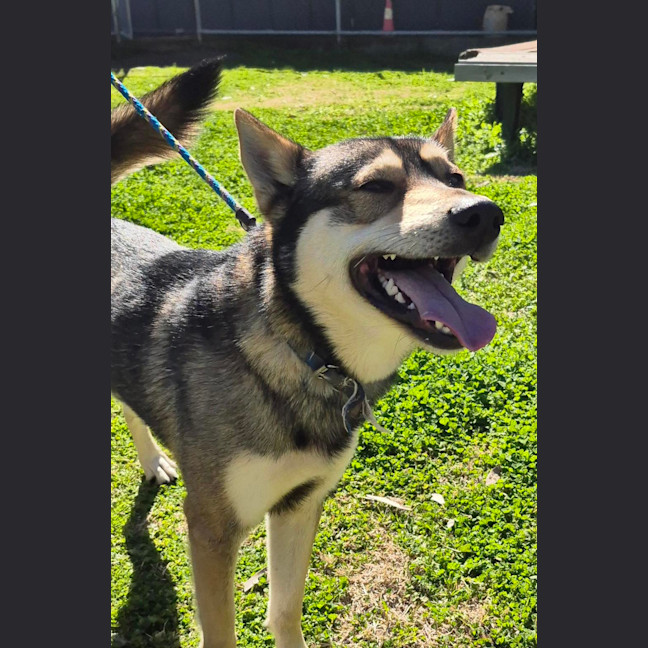 Photo of Coyotee Pete