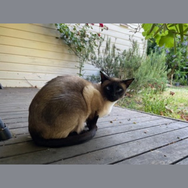 Photo of Mikki & Monty