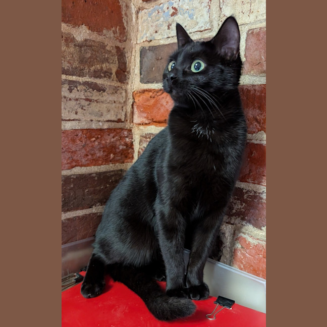 Photo of Gretel