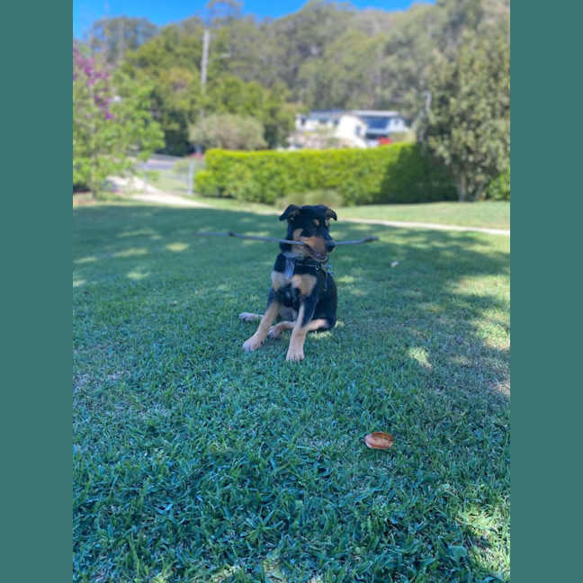 Photo of Stormy