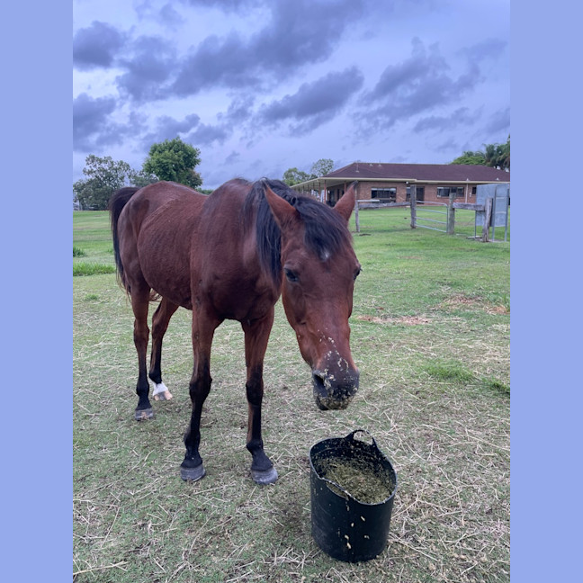 Photo of Delilah