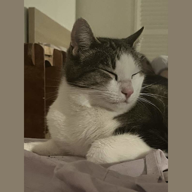 Photo of Esmerelda