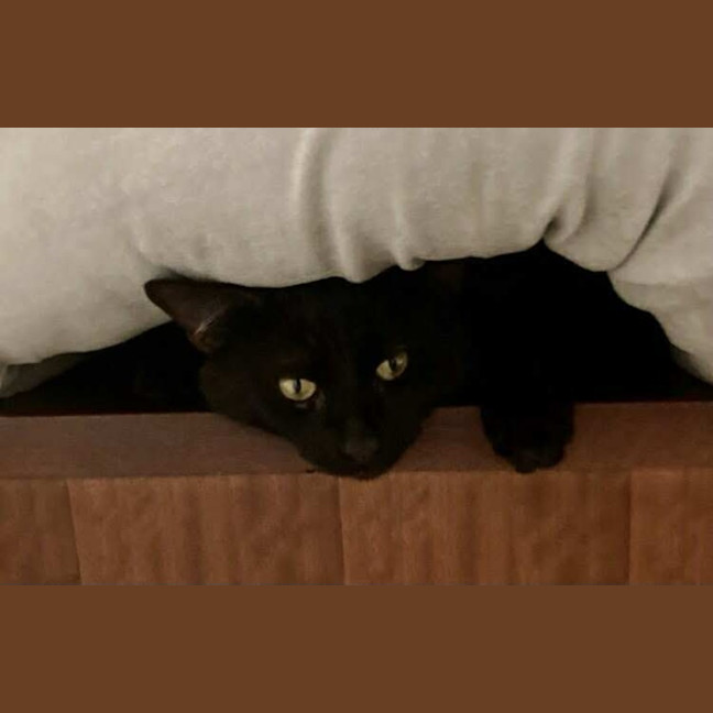 Photo of Butch