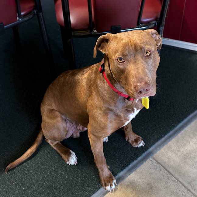 Photo of Ralph