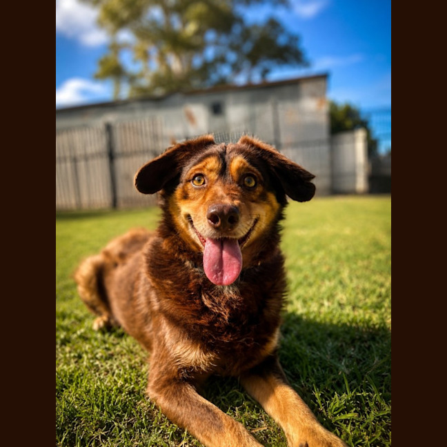 Photo of Sawyer