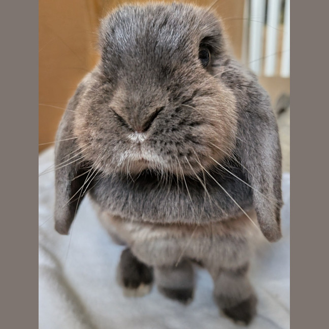Photo of Louise