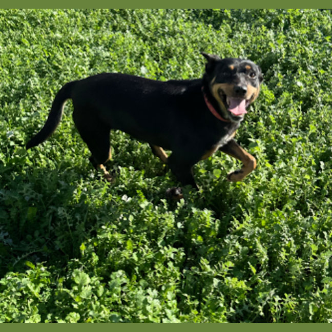 Photo of Lexi
