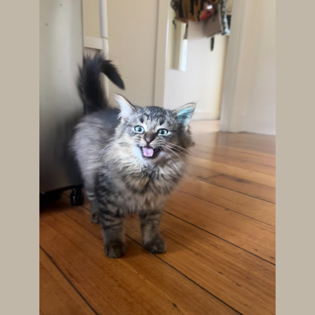 Photo of Percy
