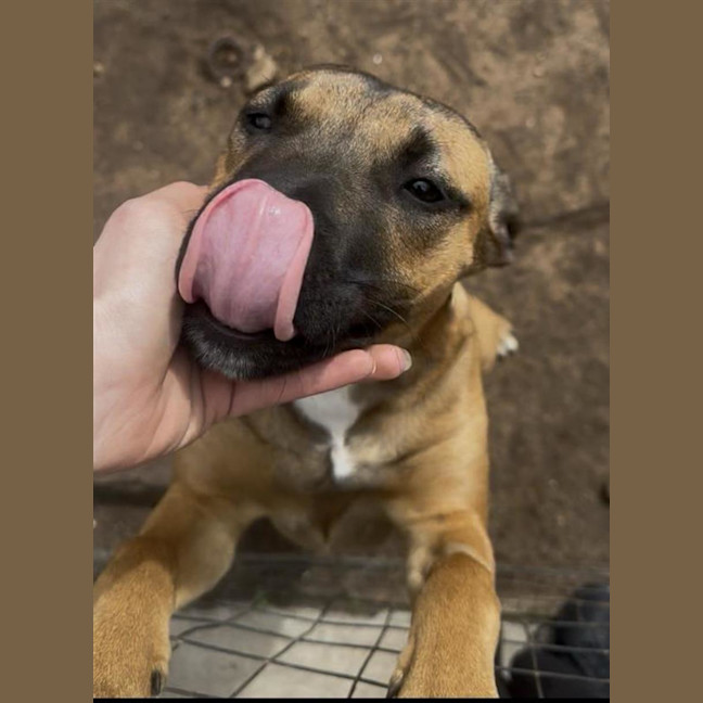 Photo of Miss. Honey