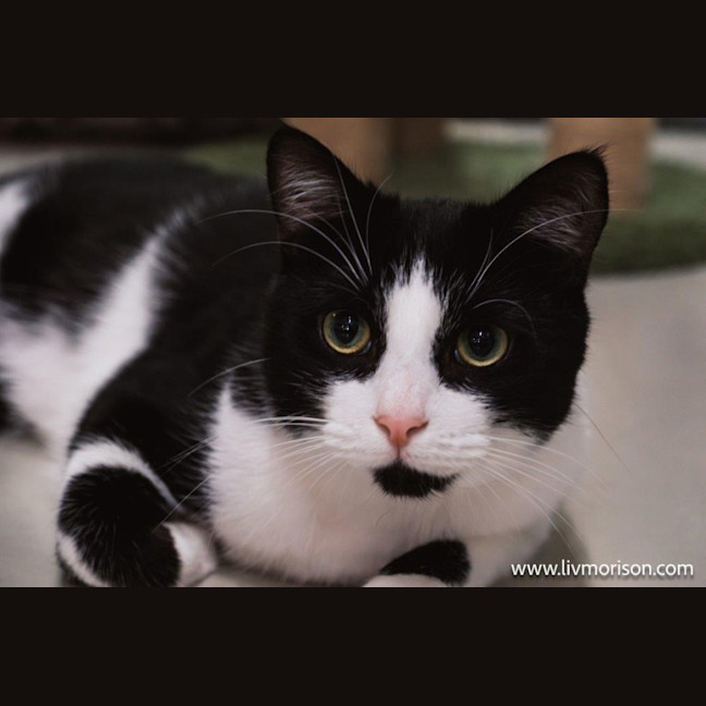 Photo of Jasper Picton