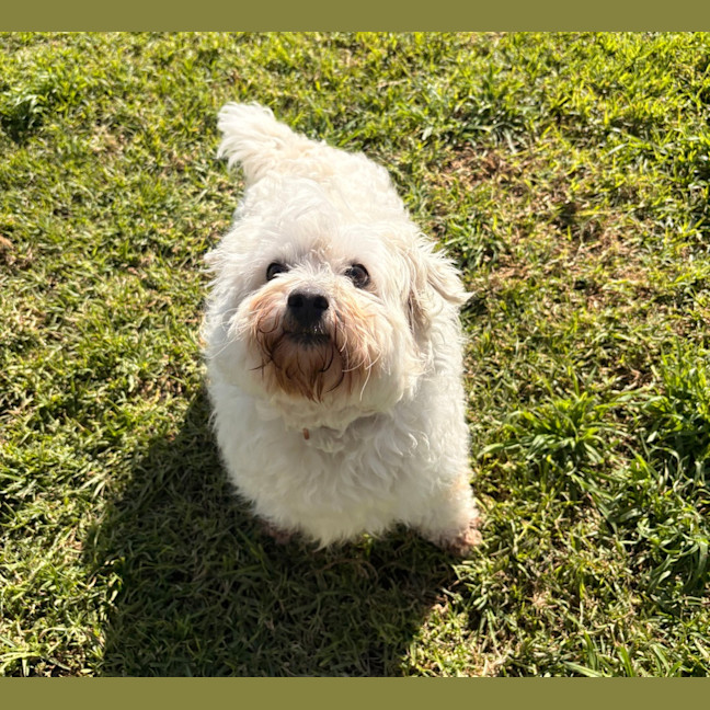 Photo of Charlie