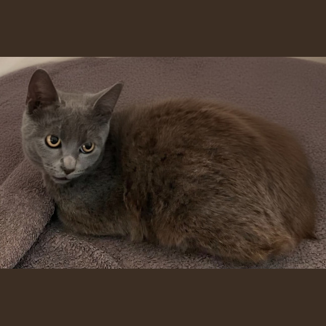 Photo of Monty