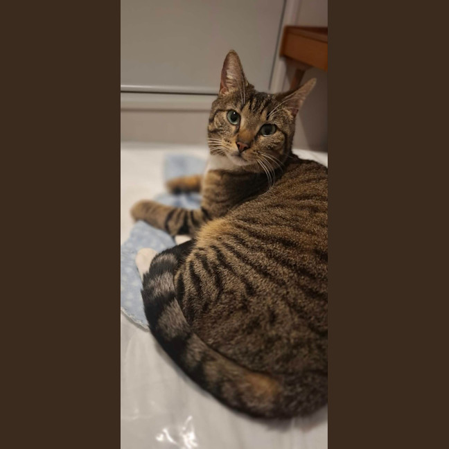 Photo of Tabitha