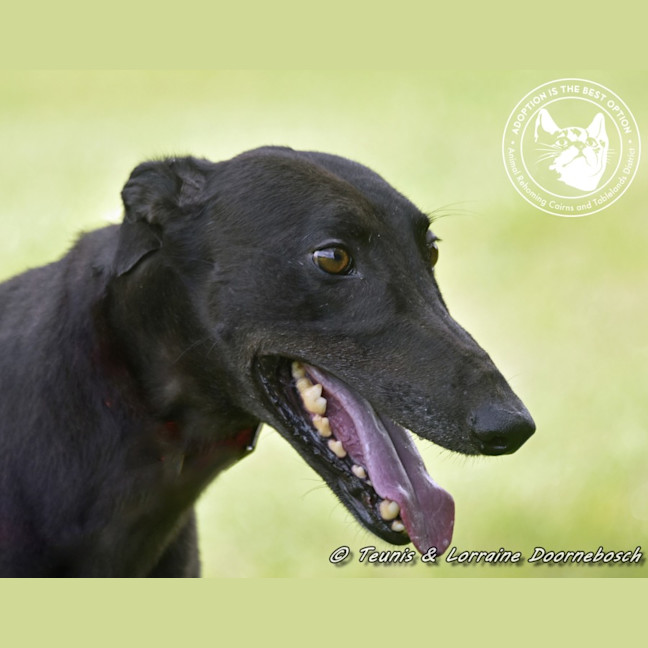 Photo of Billy (Canya Revamp)