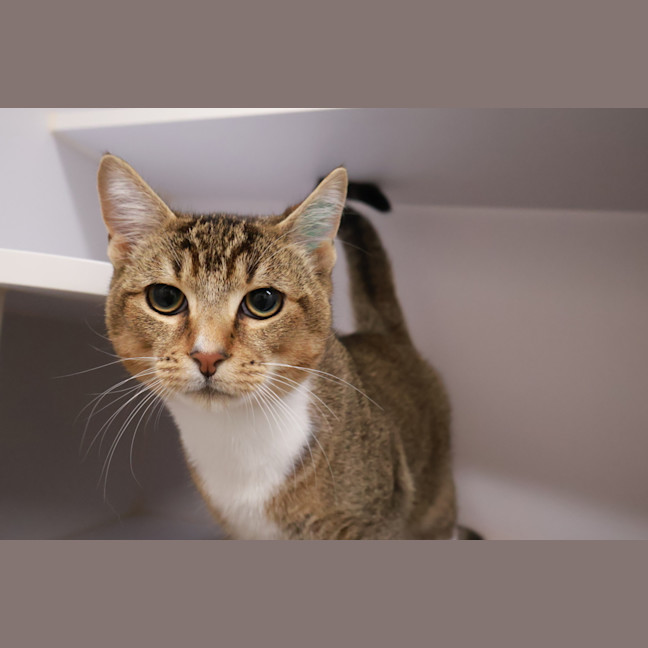 Photo of Floyd
