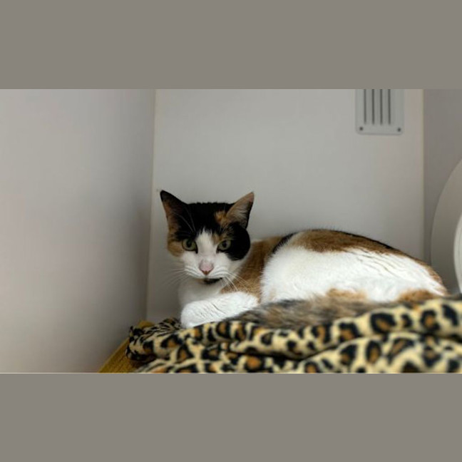 Photo of Buffy