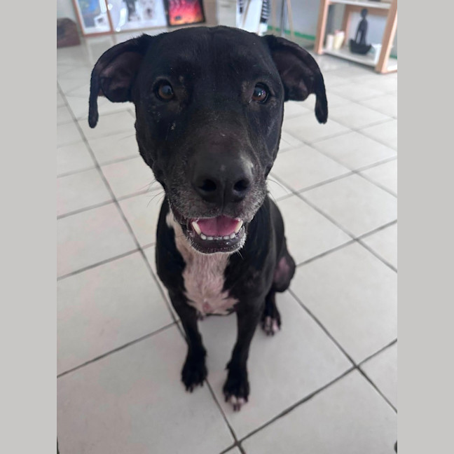 Photo of Roxy