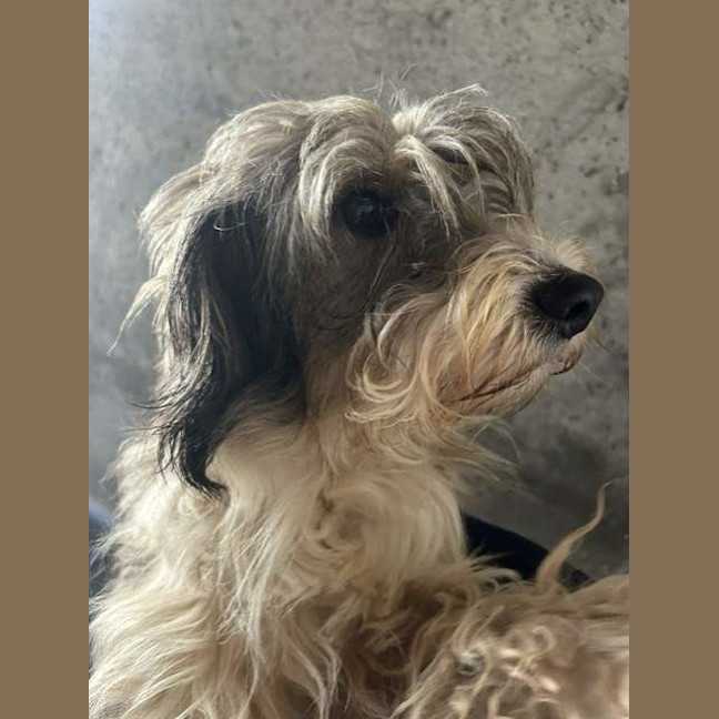 Photo of Storm