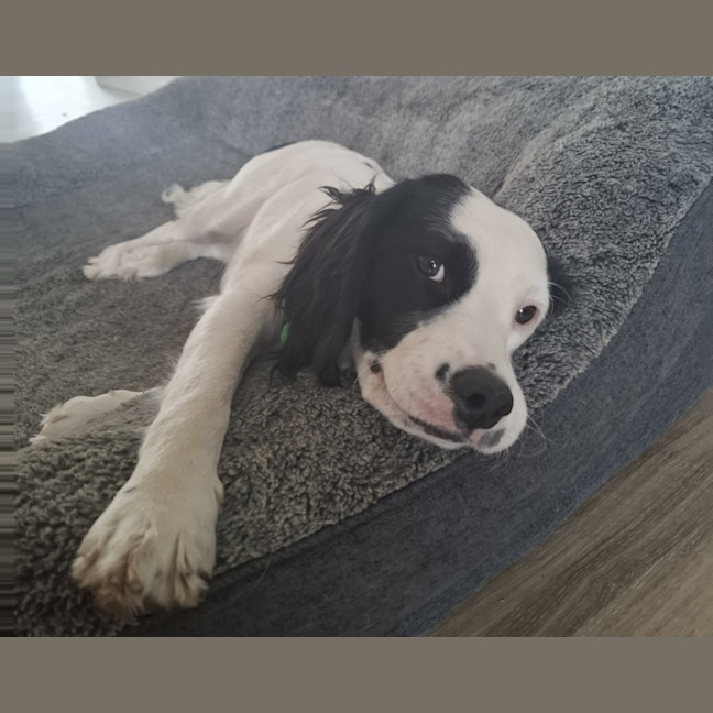 Photo of Winnie
